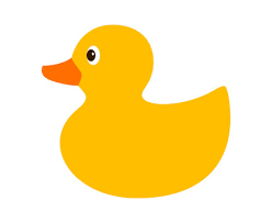 a duck